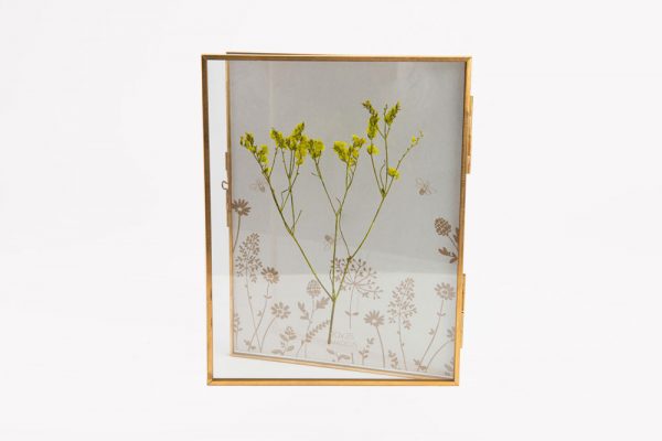 Tranh hoa ép khô Bonheur L